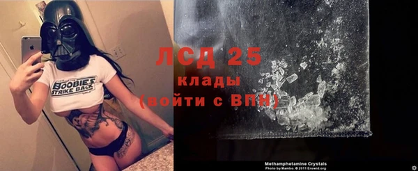 каннабис Инта