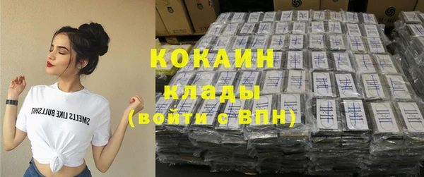 дживик Зеленокумск